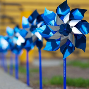 Pinwheel Order Form Available Now!